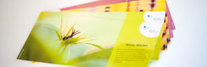 Stiftung Naturschutz Flyer gestaltet unsere Design Agentur Hamburg