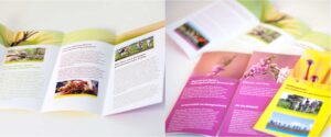 Stiftung Naturschutz Flyer Marketing Materialien gestaltet unsere Design Agentur Köln